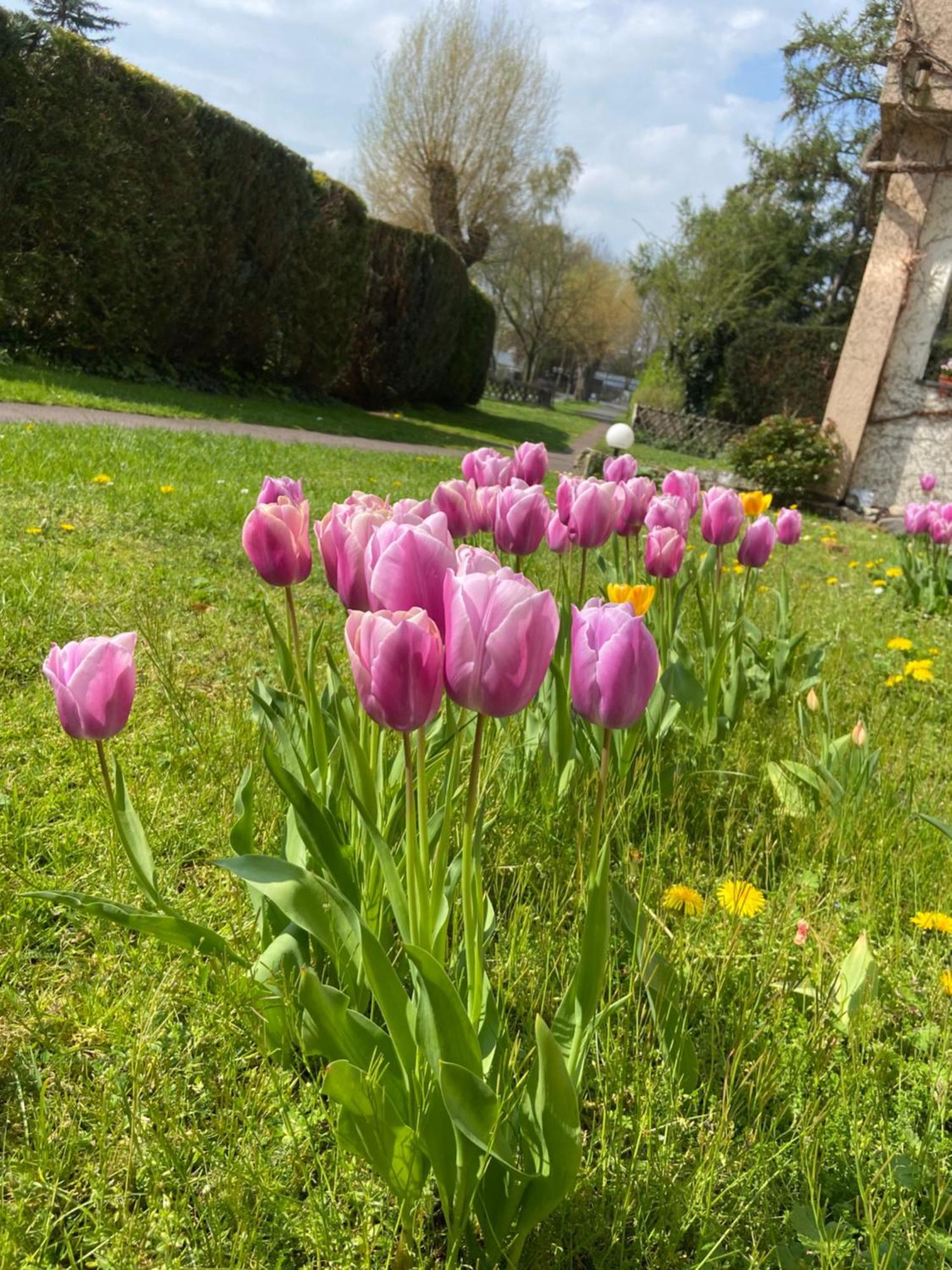 Hotel-Pension Haus Holtdirk Lippstadt Dış mekan fotoğraf